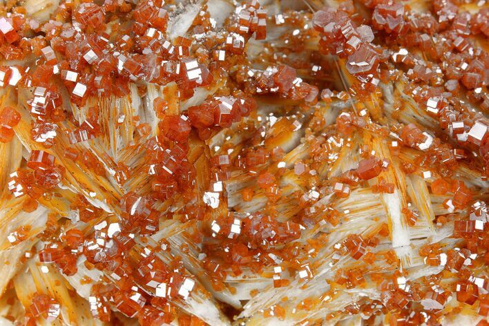 Deep Red Vanadinite Crystals on Barite - Morocco #255536